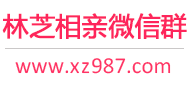 林芝相亲微信群